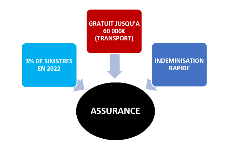Déménagement pour particuliers, Paris